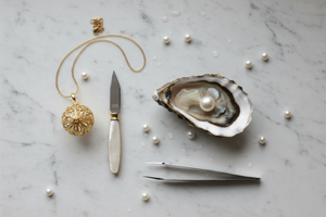Oysters & Reveal Kits