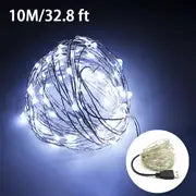 100 LED USB Fairy Lights