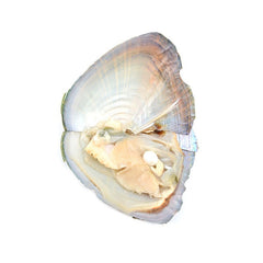 7-8mm Round Freshwater Pearl